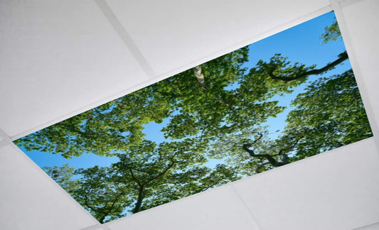 Shade Magic Light covers