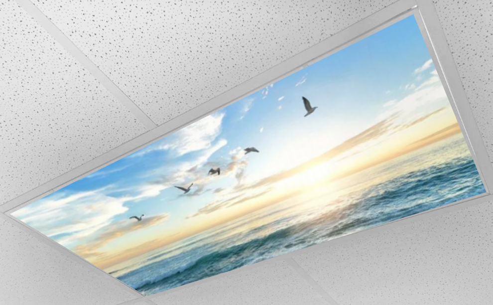 ShadeMAGIC Fluorescent Light Covers - Beach – Shade Magic Covers