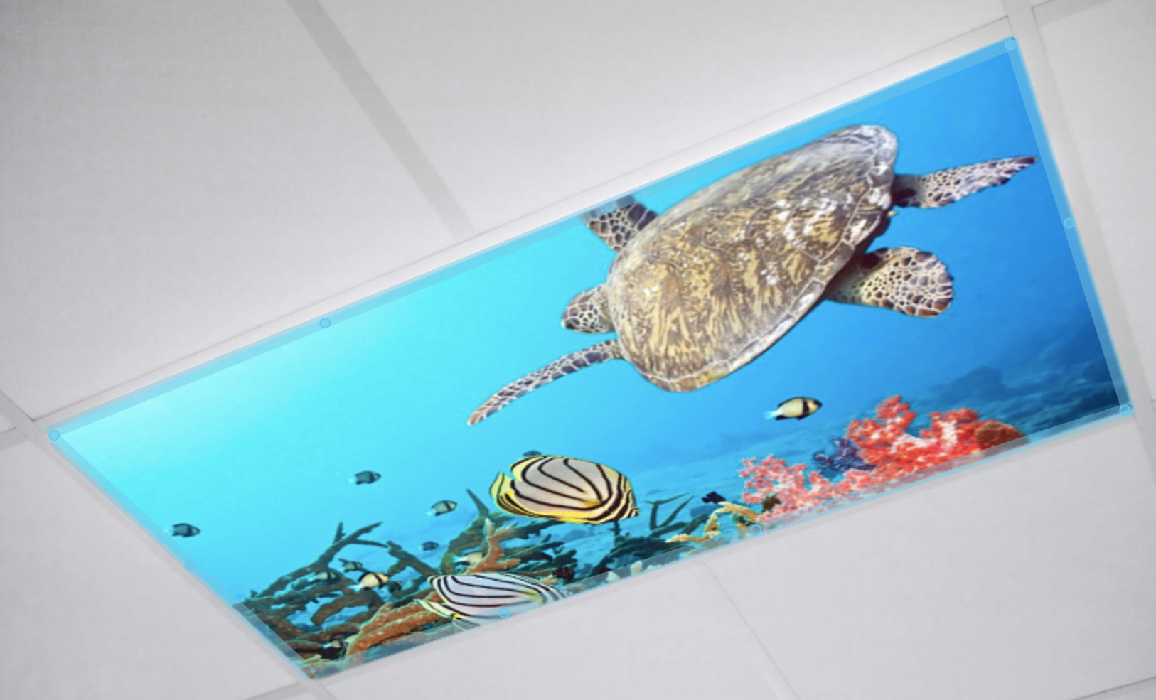 Decorative Fluorescent Light Diffusers OCTO LIGHTS Classroom