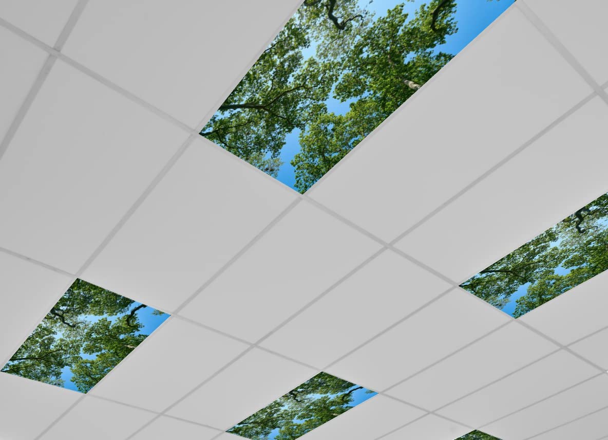 Fluorescent Light Diffuser Panels | Shelly Lighting