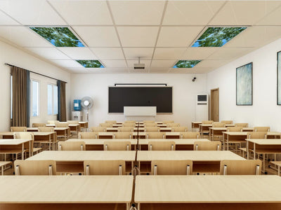 Class Room Fluorescent Light Covers